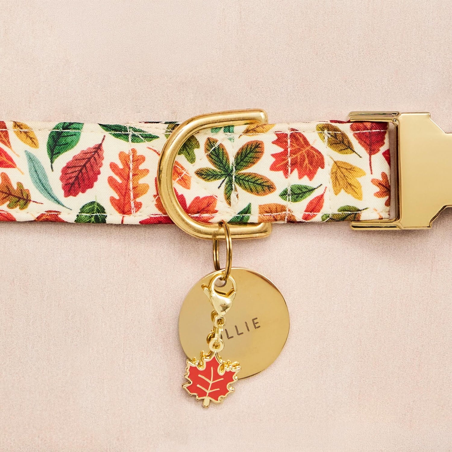 Falling Leaves Collar, Circle Pet ID Tag, Maple Collar Charm from The Foggy Dog