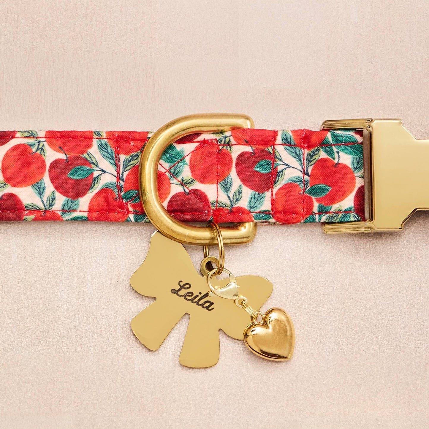 Apple of My Eye Collar, Lady Bow Pet ID Tag, Heart of Gold Collar Charm from The Foggy Dog 