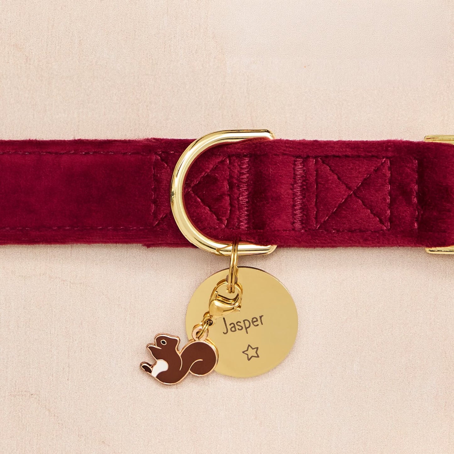Burgundy Velvet Collar, Circle Pet ID Tag: Star Icon and Squirrel Collar Charm from The Foggy Dog