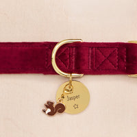 Burgundy Velvet Collar, Circle Pet ID Tag: Star Icon and Squirrel Collar Charm from The Foggy Dog
