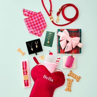 Ruby Marine Rope Leash, Pink and Red Hounstooth Bandana, Best Friend Furever Necklace and Collar Charm Set, Gold Teddy Bear Collar Charm, Charlotte Striped Webbing Collar, Strawberry Milkshake Toy, Hot Pink Waste Bag Holder, Blush Pink Lady Bow Collar and Cranberry Velvet Christmas Stocking from The Foggy Dog