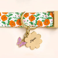 Golden Poppies Dog Collar, Flower Pet ID Tag, and Butterfly Collar Charm from he Foggy Dog
