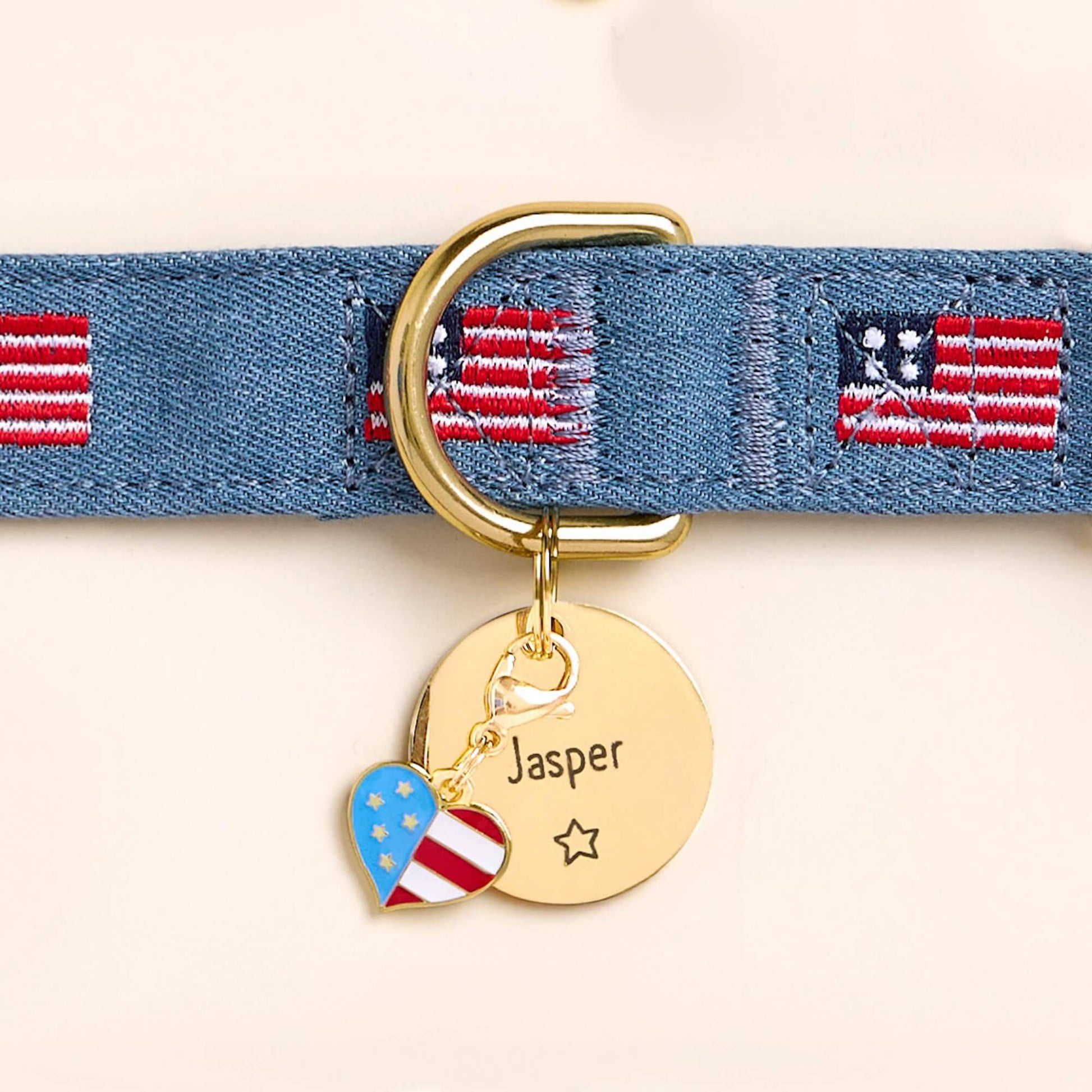 American Flag Embroidered Dog Collar, Circle Pet ID Tag: Star Icon, and I Heart America Collar Charm from The Foggy Dog