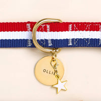 Newport Striped Webbing Dog Collar, White Star Collar Charm, and Circle Pet ID Tag, from The Foggy Dog
‎
