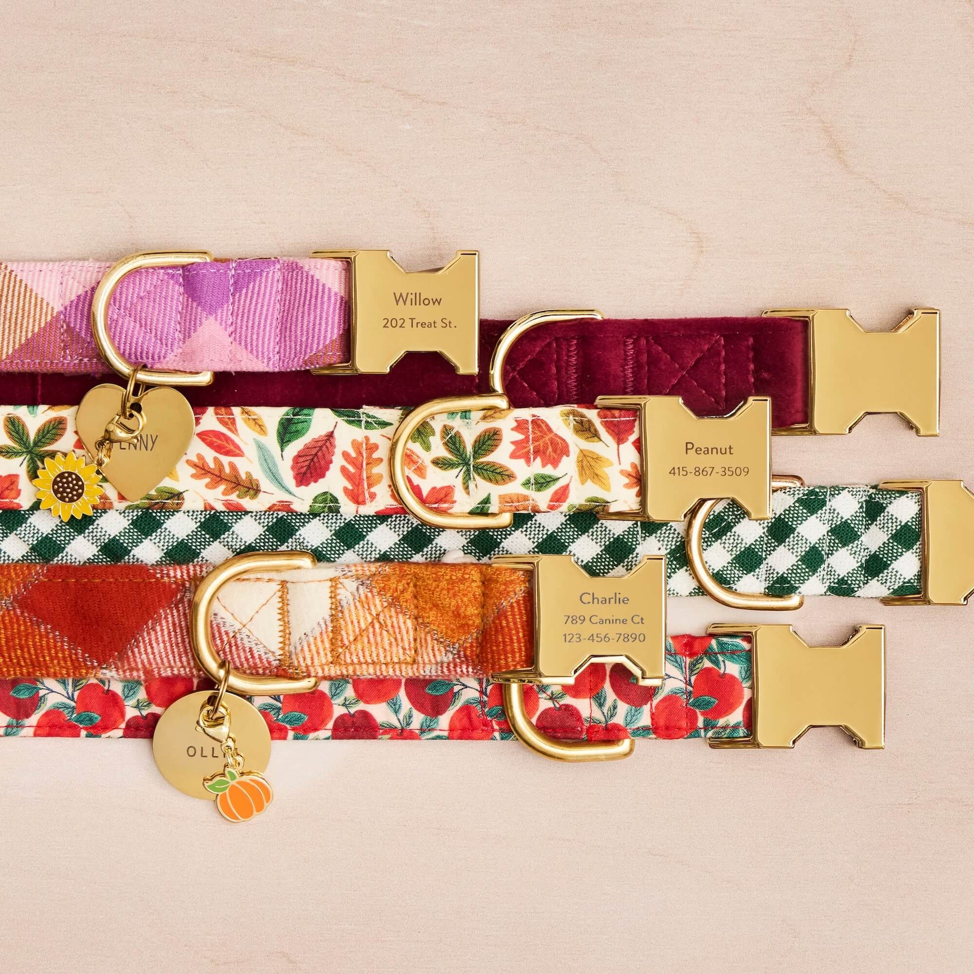 Bramble Flannel, Burgundy Velvet, Falling Leaves, Evergreen Gingham, Pumpkin Spice Flannel and Apple of My Eye Collars, Heart and Circle Pet ID Tag and Pumpkin and Sunflower Collar Charms from The Foggy Dog