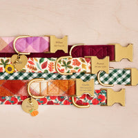 Bramble Flannel, Burgundy Velvet, Falling Leaves, Evergreen Gingham, Pumpkin Spice Flannel and Apple of My Eye Collars, Heart and Circle Pet ID Tag and Pumpkin and Sunflower Collar Charms from The Foggy Dog
