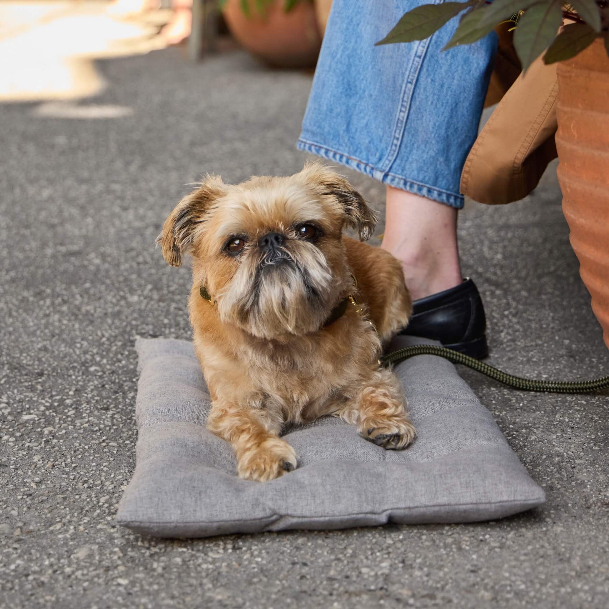#Modeled by Leo (16lbs) on Small