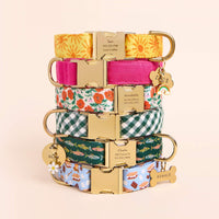 Here Comes the Sun, Hot Pink,  Golden Poppies, Evergreen Gingham, Gone Fishing, and S'more to Love Dog Collar, Cloud Pet, Circle Pet, and Bone Pet ID Tag, Rainbow Collar Charm, and Daisy Collar Charm from The Foggy Dog