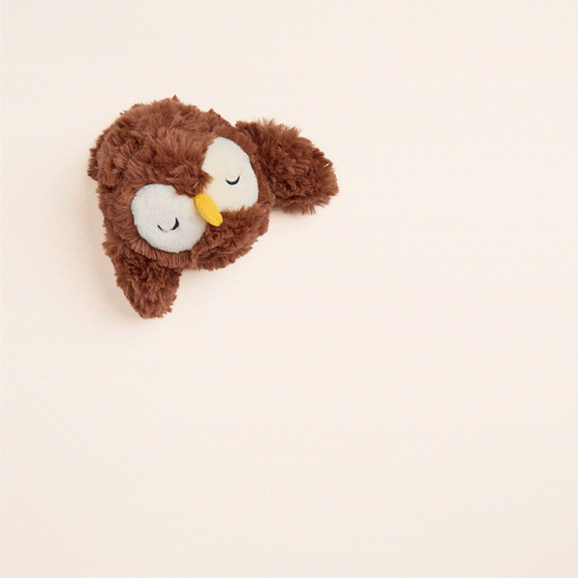Owl 2-in-1 Bounce Dog Toy view 2