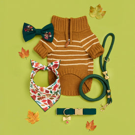 Mustard Stripe Quarter-Zip Dog Sweater, Fall Foliage Bow Tie, Falling Leaves Bandana, Evergreen Marine Rope Leash and Dog Collar, Bow Tie Pet ID Tag and Maple Leaf Collar Charm from The Foggy Dog