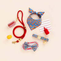Hot Diggity Dog Bandana, Dog Collar, Dog Bow Tie, Ruby Marine Rope Dog Leash, Red Gingham Waste Bag Holder,  Circle Pet ID Tag and Hot Dog Collar Charm from The Foggy Dog