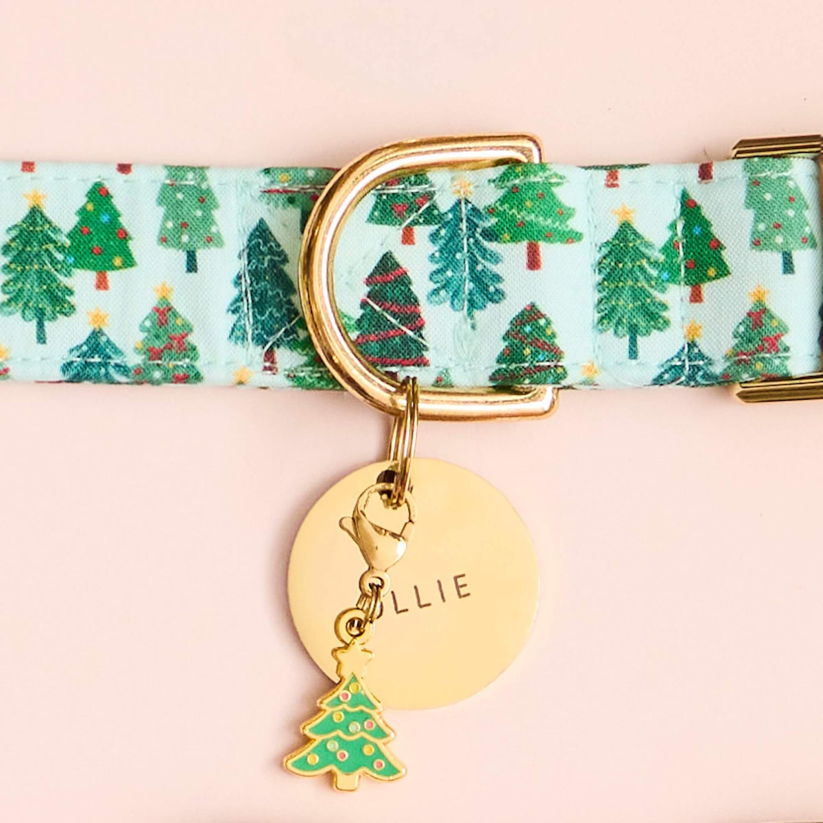 Festive Firs Collar, Circle Pet ID Tag and Christmas Tree Collar Charm from The Foggy Dog