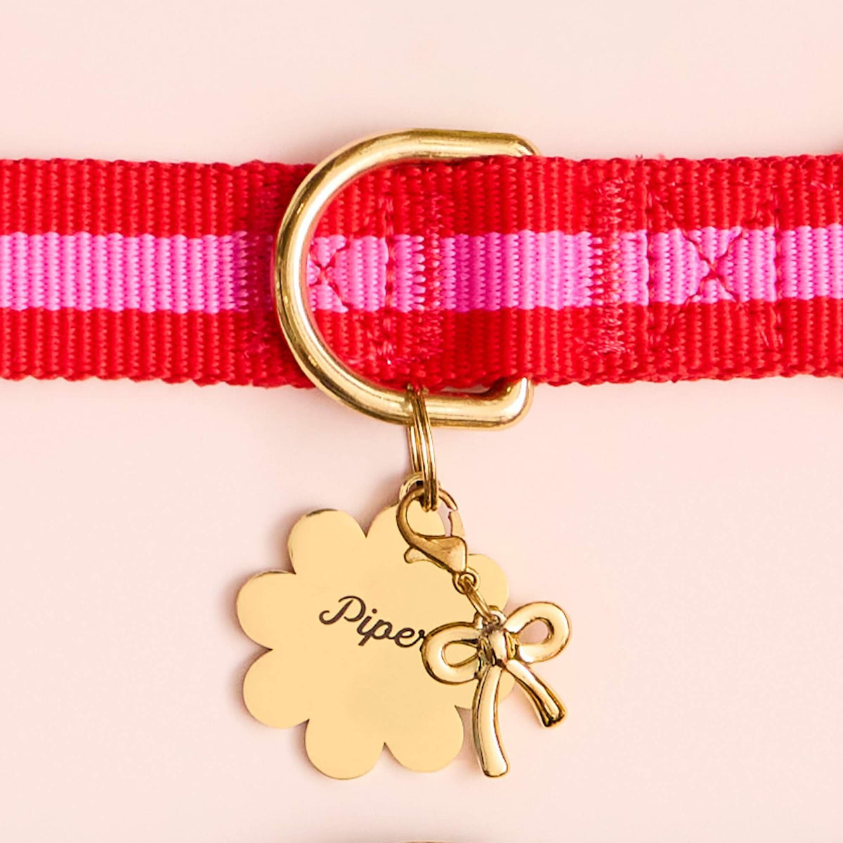 Charlotte Striped Webbing Collar, Flower Pet ID Tag and Gold Bow Collar Charm from The Foggy Dog