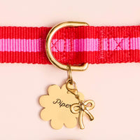 Charlotte Striped Webbing Collar, Flower Pet ID Tag and Gold Bow Collar Charm from The Foggy Dog