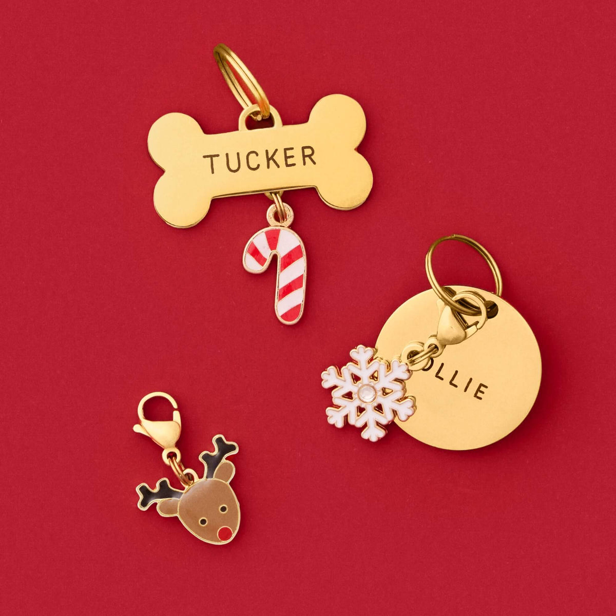 Bone and Circle Pet ID Tag, Candy Cane, Snowflake and Reindeer Collar Charm From The Foggy Dog