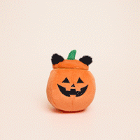 Cat-o’-Lantern 2-in-1 Bounce Dog Toy from The Foggy Dog