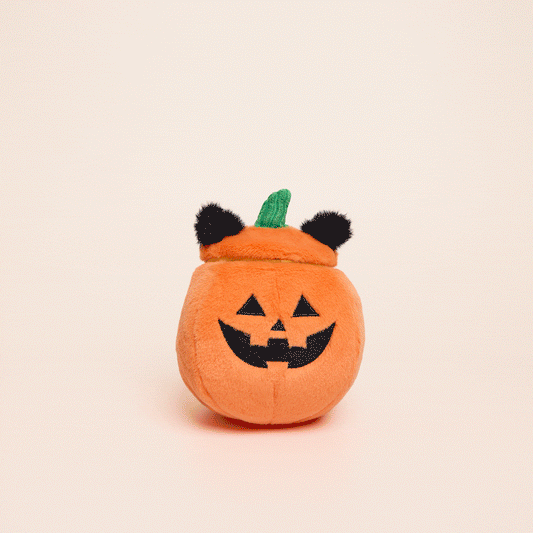 Cat-o’-Lantern 2-in-1 Bounce Dog Toy from The Foggy Dog