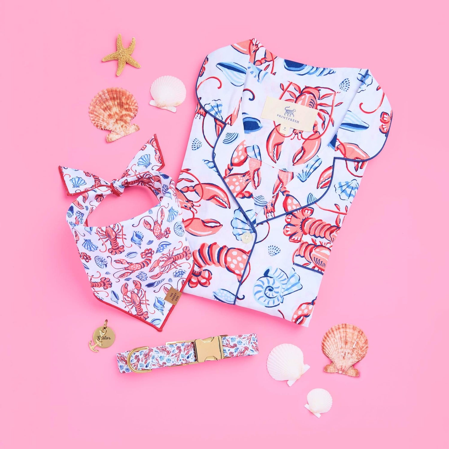 Printfresh × TFD Lobster Landing Mom + Dog Matching Gift Set, Bandana and Dog Collar, Circle Pet ID Tag, and Gold Anchor Collar Charm from The Foggy Dog