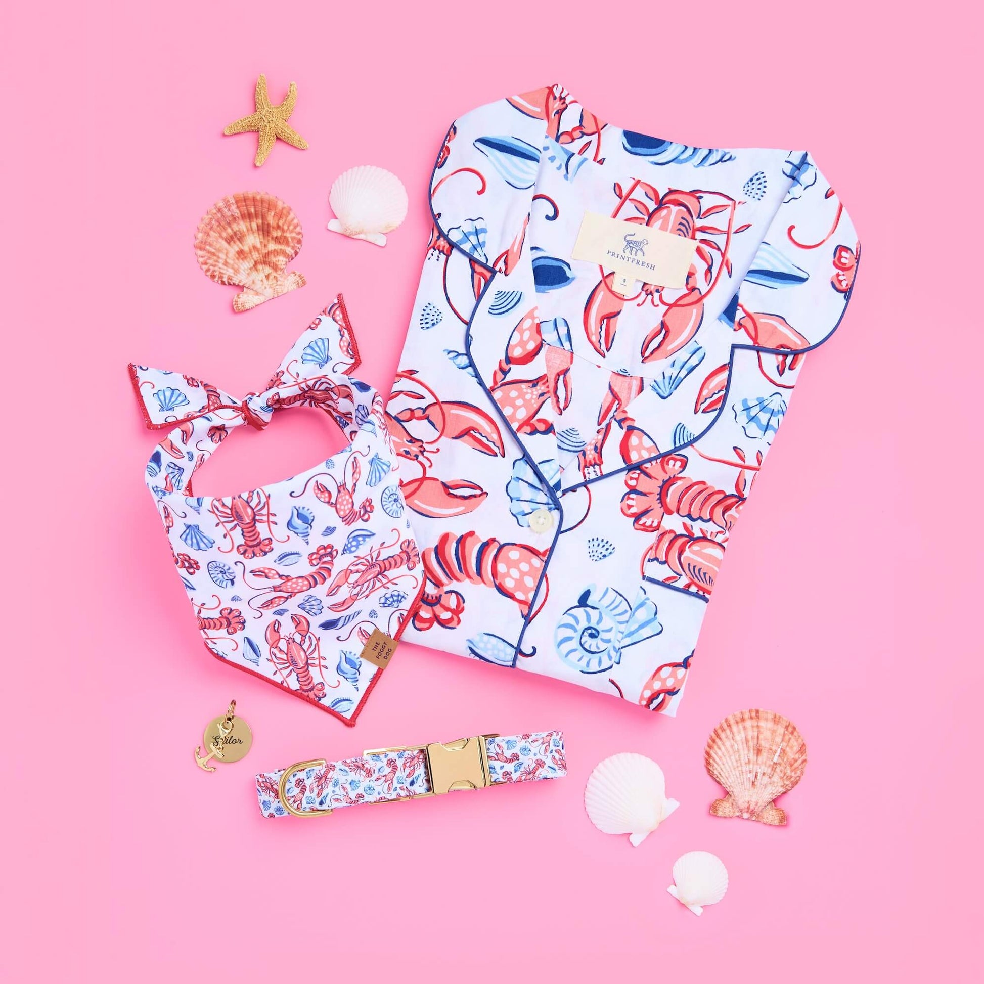 Printfresh × TFD Lobster Landing Mom + Dog Matching Gift Set, Bandana and Dog Collar, Circle Pet ID Tag, and Gold Anchor Collar Charm from The Foggy Dog