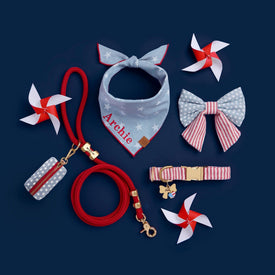 Dog accessories including a red leash, blue bandana with 'Archie' printed, and decorative items on a dark background.