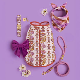 Bramble Flannel Ruffled Bandana, Blockprint Floral Dog Collar and Reversible Jacket, Plum Velvet Lady Dog Bow, Orchid Marine Rope Leash, Flower Pet ID Tag and Gold Bow Collar Charm from The Foggy Dog
