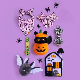 Spooky Season Bandana and Lady Bow Collar, Holographic Spiderweb Bow Tie Collar, Spellbound Collar with Pumpkin Collar Charm, Haunted House Interactive Snuffle Dog Toy, Bat 2-in-1 and Cat-o’-Lantern 2-in-1 Bounce Dog Toy from The Foggy Dog