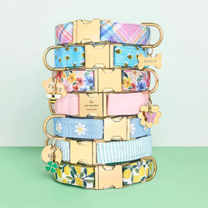 Blooming Plaid, Sweet as Can Be, Margaux, Blush Pink Velvet, Daisy Embroidered, Green Seersucker and Lemon Zest Collar, Bone, Cloud, Flower, and Circle Pet ID Tag, Butterfly, Honey Bee and Lucky Clover Collar Charm from The Foggy Dog