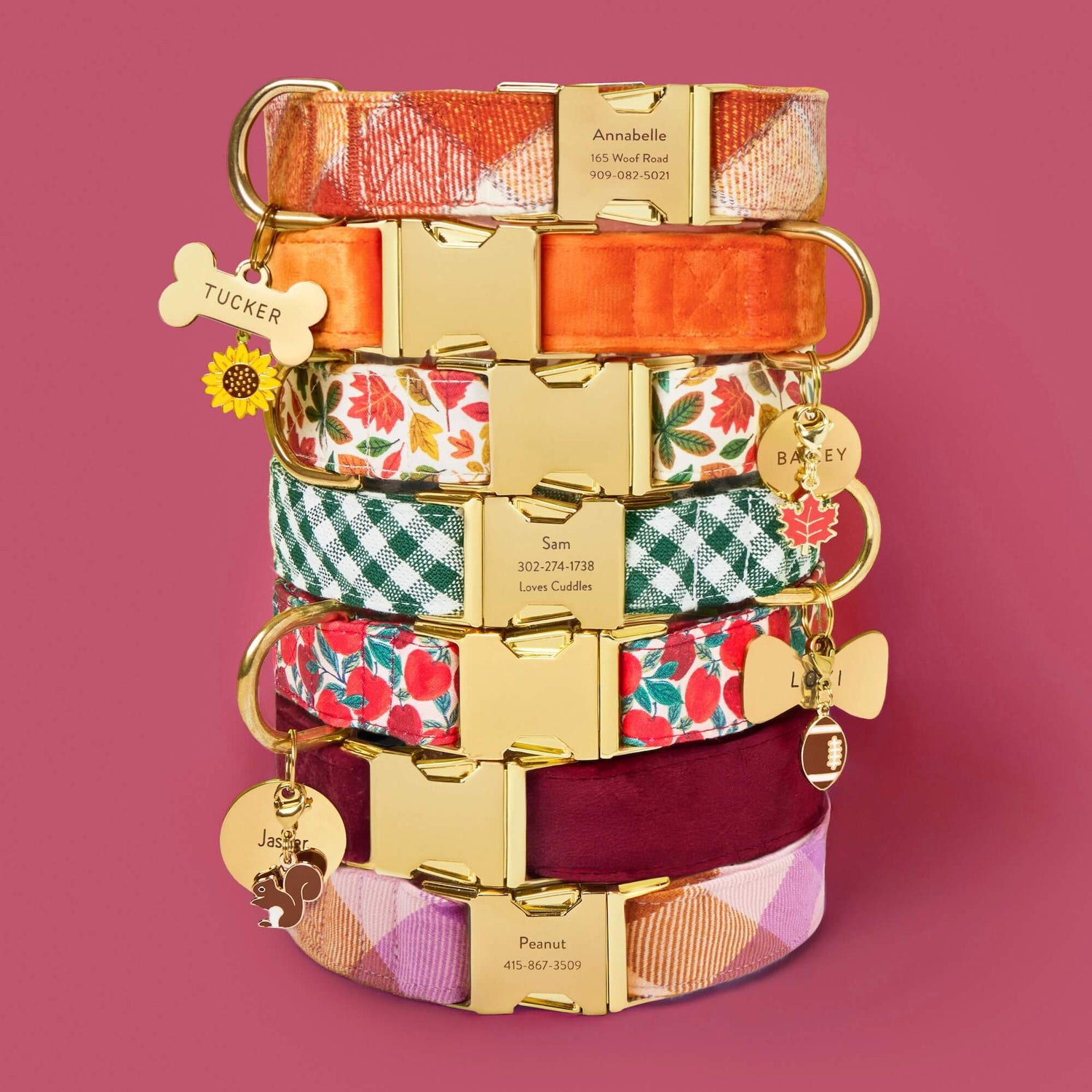 Pumpkin Spice Plaid Flannel, Pumpkin Velvet, Falling Leaves, Evergreen Gingham, Apple of My Eye, Burgundy Velvet, Bramble Flannel Dog Collar, Bone, Circle,  Lady Bow Pet ID Tag, Football, Squirrel, Maple Leaf and Sunflower Collar Charm from The Foggy Dog