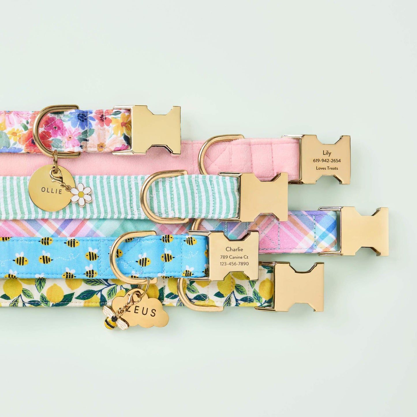 Margaux, Blush Pink Velvet, Green Seersucker, Blooming Plaid, Sweet as Can Be, and Lemon Zest Collar, Circle and Cloud Pet ID Tag, Daisy and Honey Bee Collar Charm from The Foggy Dog