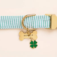Green Seersucker Collar, Bone Pet ID Tag and Lucky Clover Collar Charm from The Foggy Dog