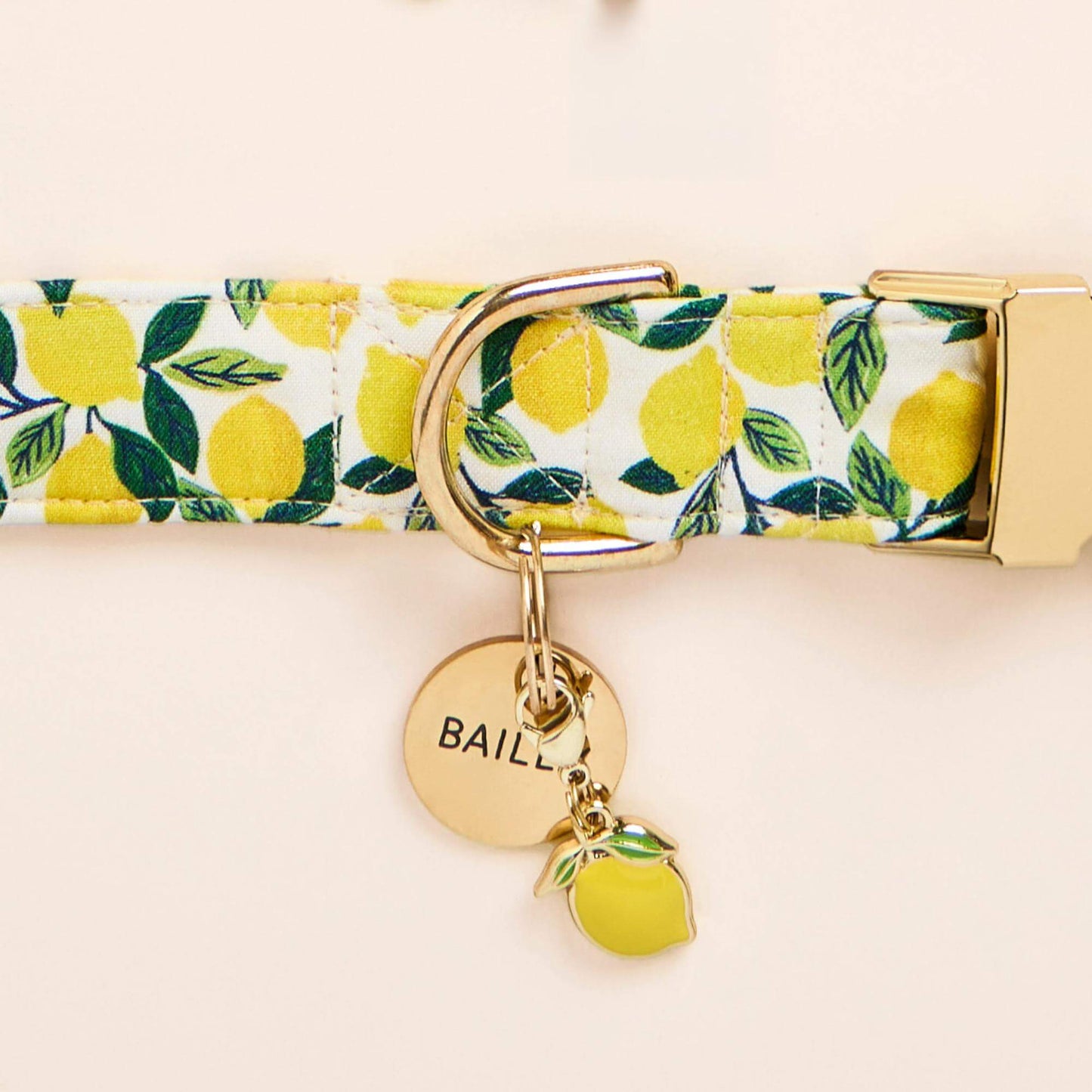 Lemon Zest Collar, Circle Pet ID Tag and Lemon Collar Charm