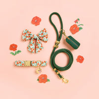 Golden Poppies Lady Dog Bow and Dog Collar Evergreen Marine Rope Dog Leash, Evergreen Waxed Canvas Waste Bag Holder, Flower Pet ID Tag, and Butterfly Collar Charm from The Foggy Dog