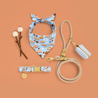 S'more to Love Dog Bandana, Dog Collar, Circle Pet ID Tag, Flax Marine Rope Dog Leash, and Sky Blue Gingham Waste Bag Holder from The Foggy Dog