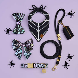 Holographic Spiderweb Bow Tie, Lady Bow and Collar, Onyx Marine Rope Leash and Waste Bag Holder, and Spiderweb Crochet Dog Bandana from The Foggy Dog