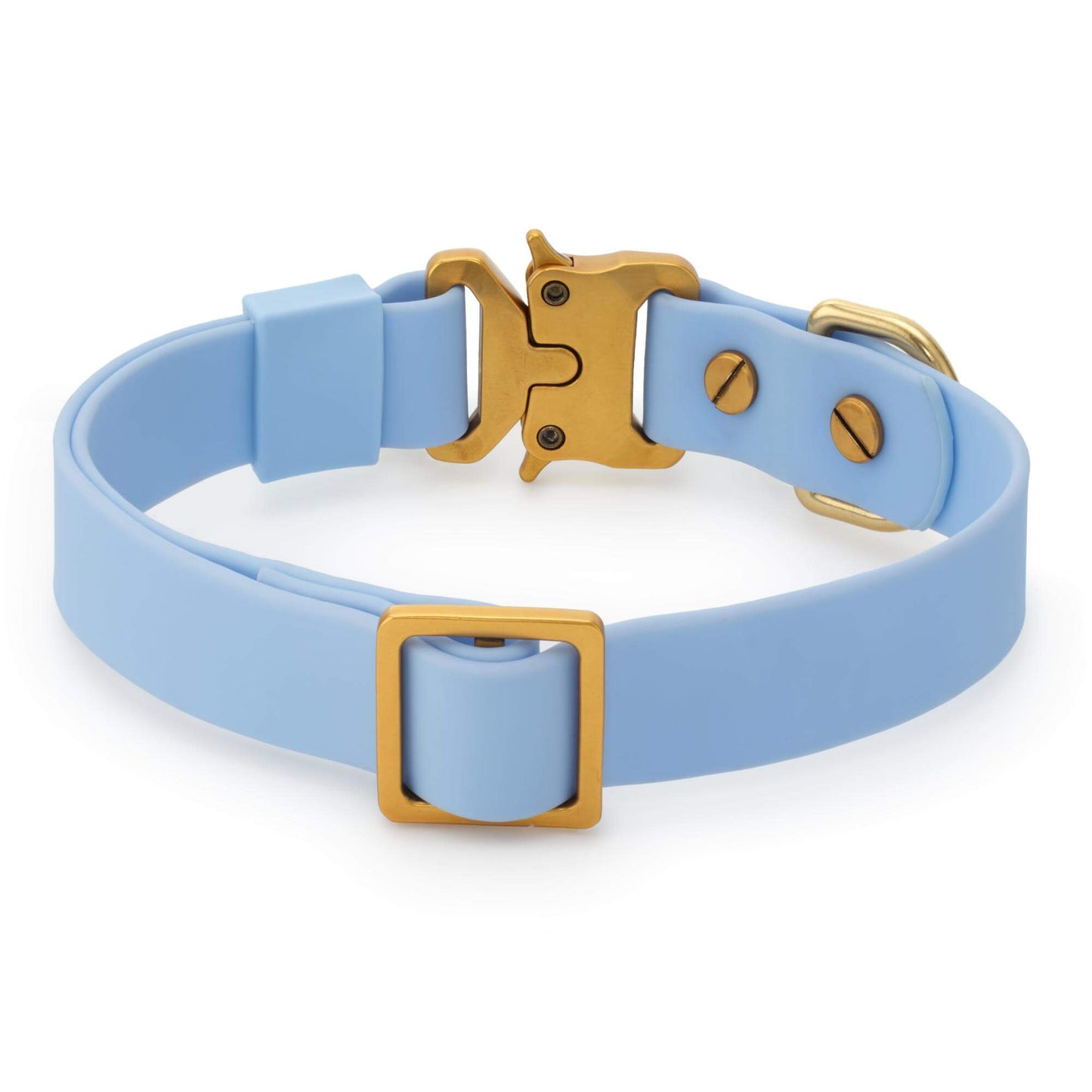 Active Flex Dog Collar, Alpine from The Foggy Dog
