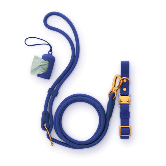 Active Everyday Walk Set, Azure from The Foggy Dog