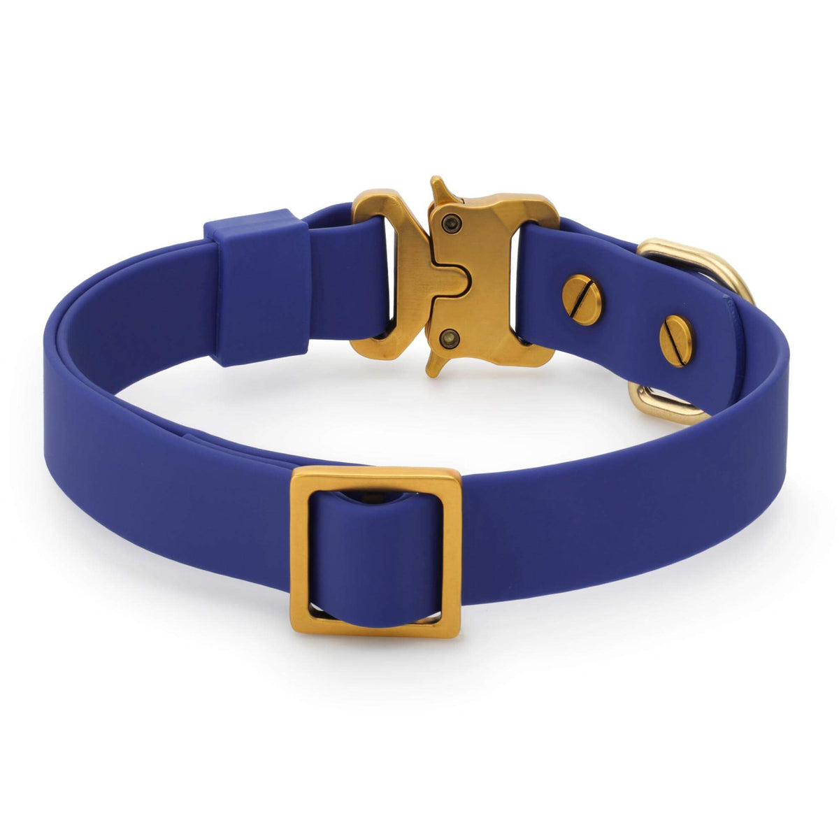 Active Flex Dog Collar, Azure from The Foggy Dog