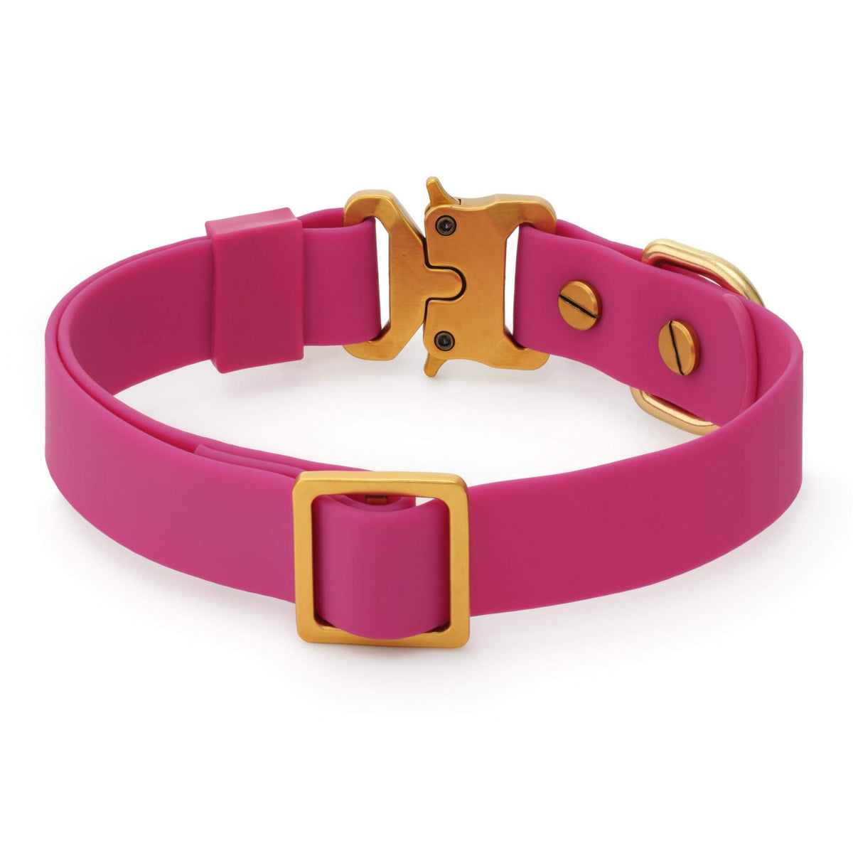 Active Flex Dog Collar, Dahlia from The Foggy Dog