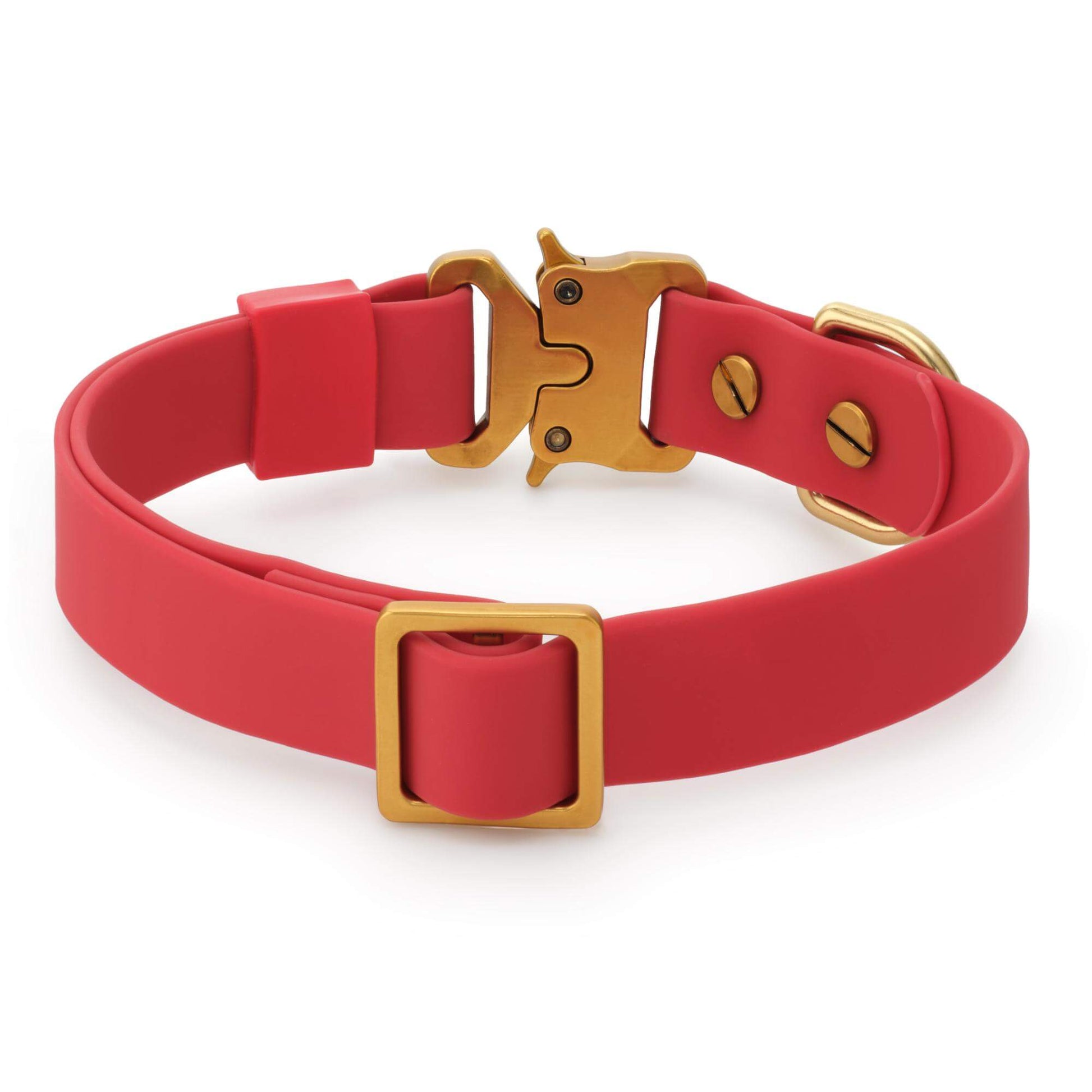 Active Flex Dog Collar, Ember from The Foggy Dog