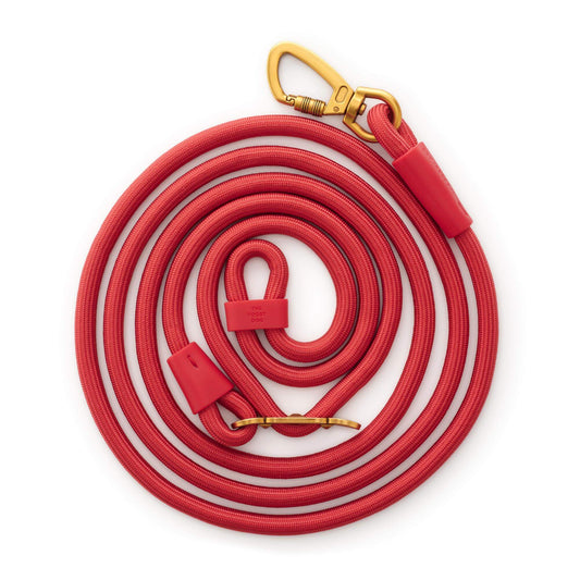 Active Hands-Free Dog Leash, Ember from The Foggy Dog
