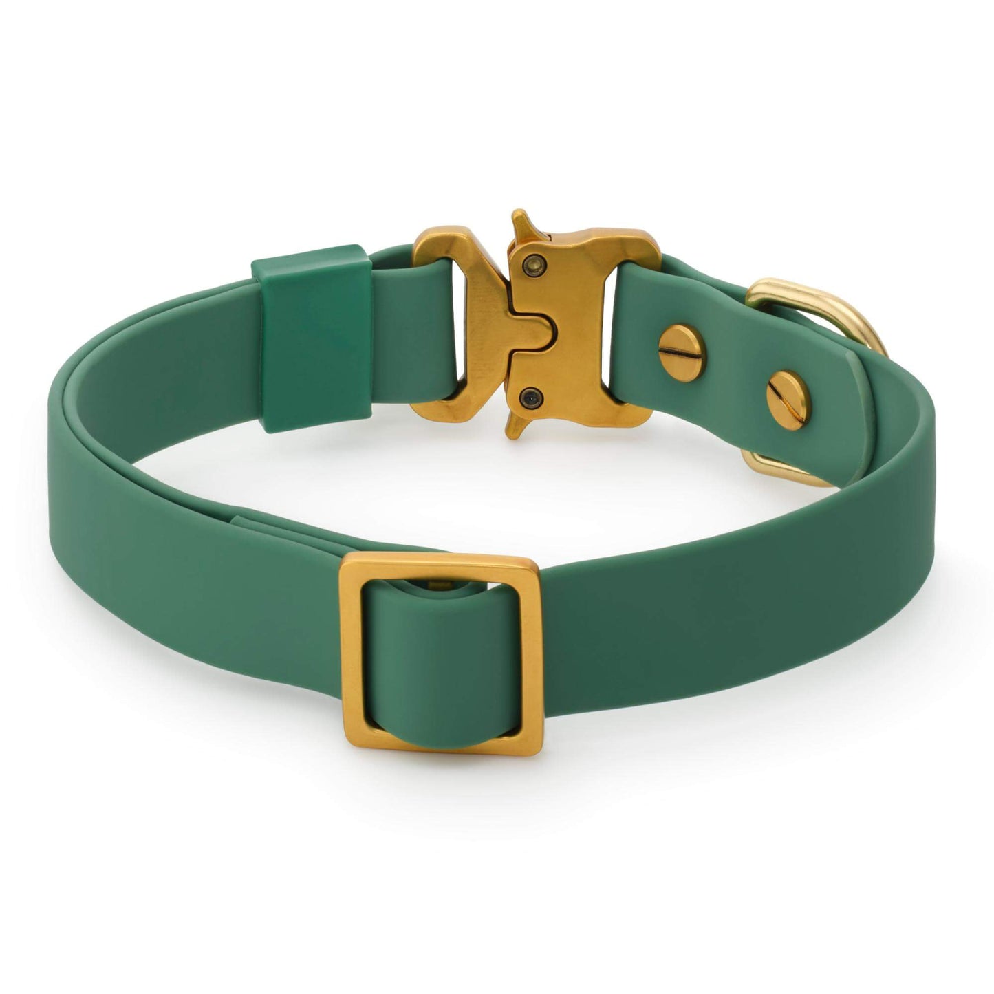 Active Flex Dog Collar, Fern from The Foggy Dog