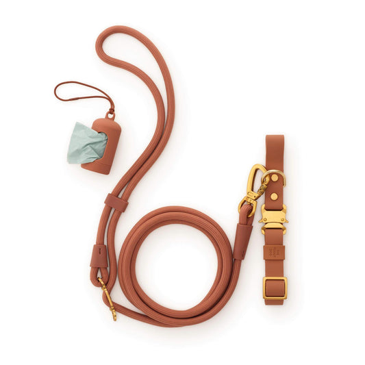 Active Everyday Walk Set, Saddle from The Foggy Dog