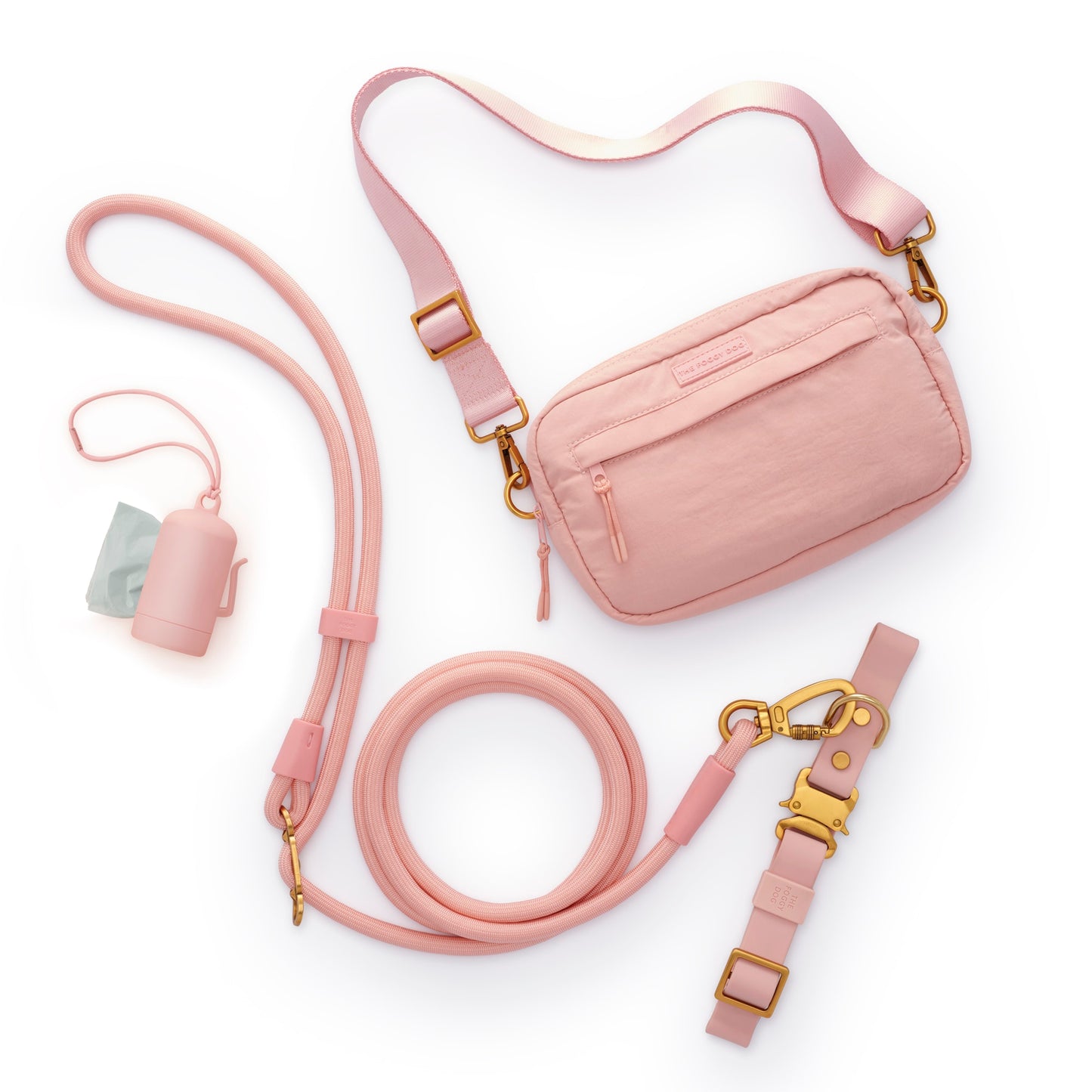 Active Adventure Walk Set, Shell from the Foggy Dog