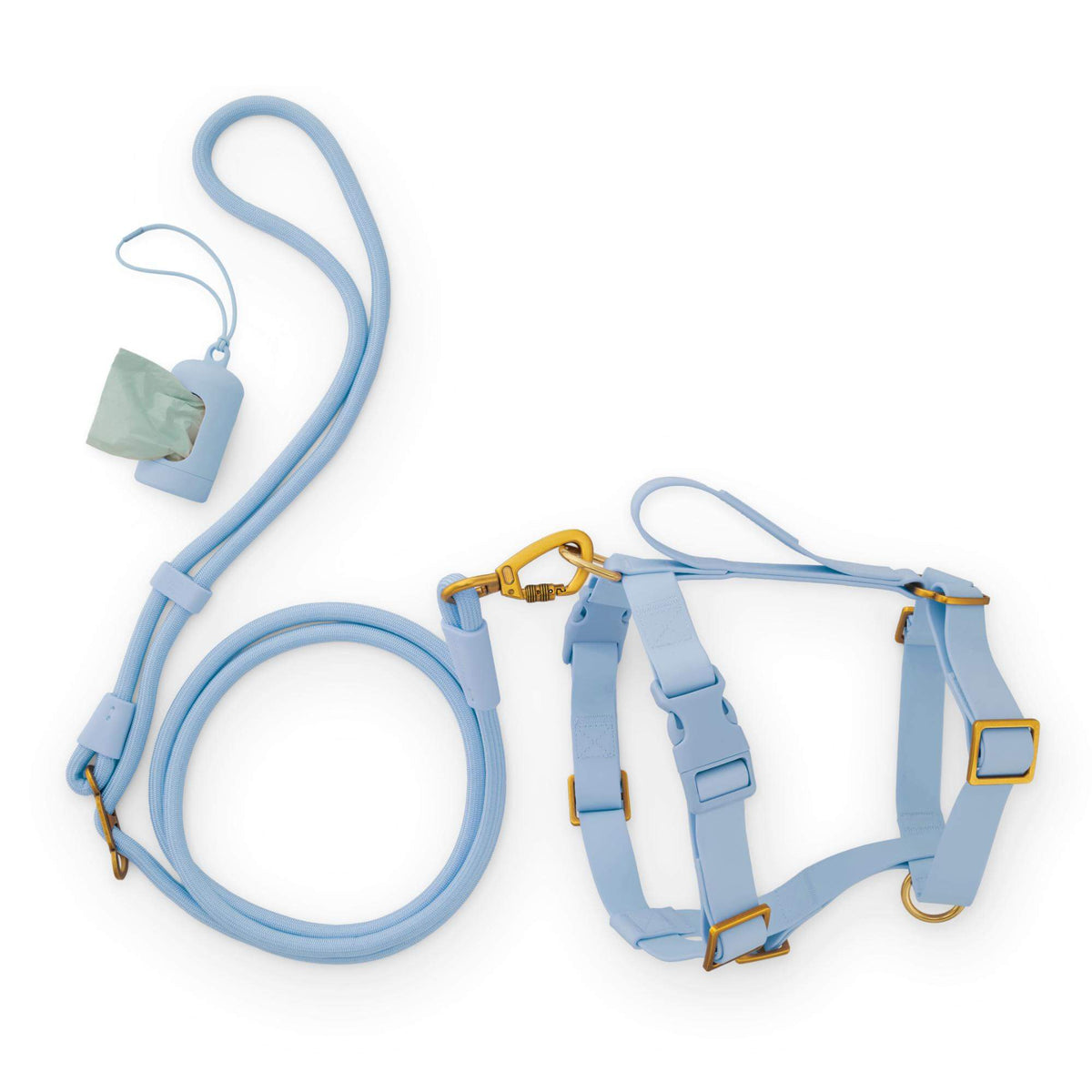 Active Everyday Harness Walk Set - With Handle (M/L), Alpine from The Foggy Dog