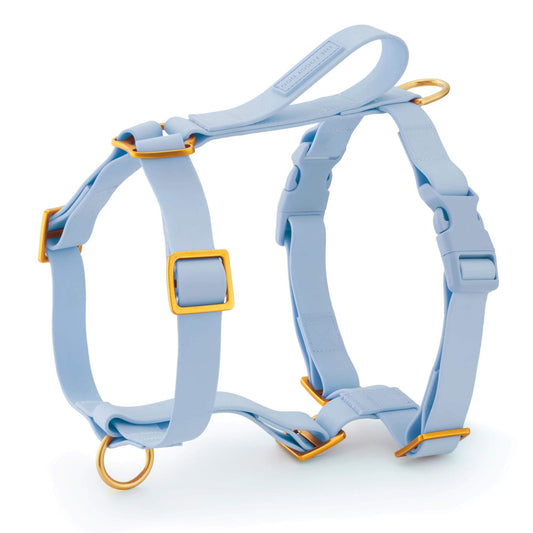 Active Flex Dog Harness - With Handle (M/L), Alpine view 1