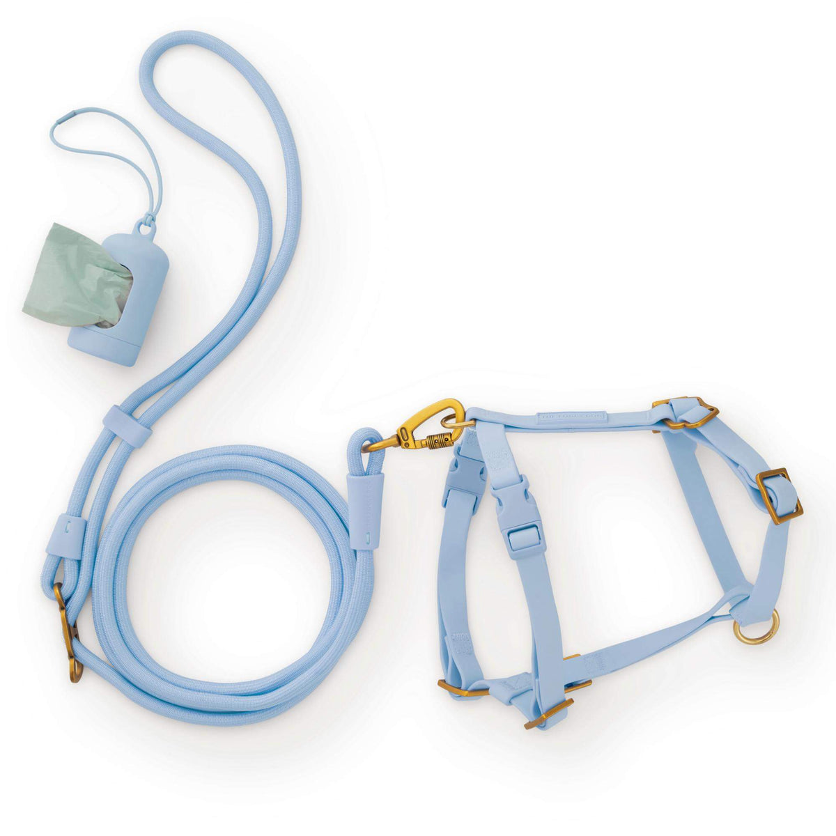 Active Everyday Harness Walk Set - With Handle (XS/S), Alpine from The Foggy Dog