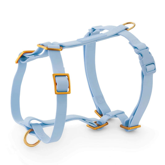Active Flex Dog Harness (XS/S), Alpine view 1