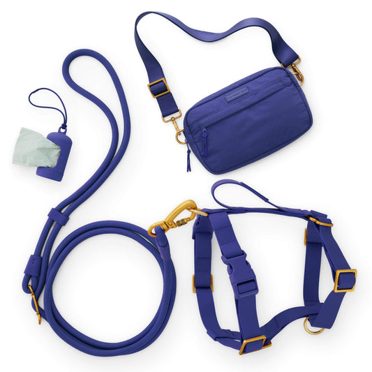 Active Adventure Harness Walk Set - With Handle (M/L), Azure view 1
