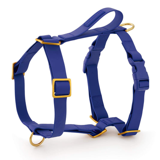 Active Flex Dog Harness - With Handle (M/L), Azure view 1