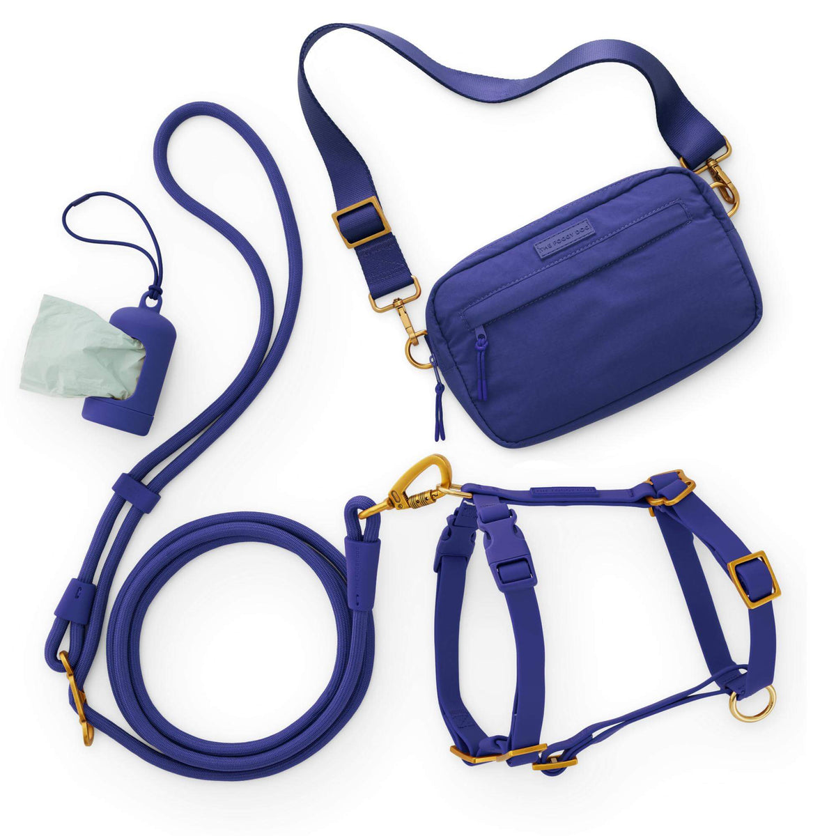 Active Adventure Harness Walk Set - With Handle (XS/S), Azure from The Foggy Dog